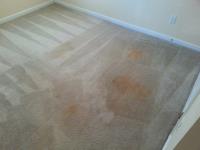 Carpet Cleaning Magill image 4